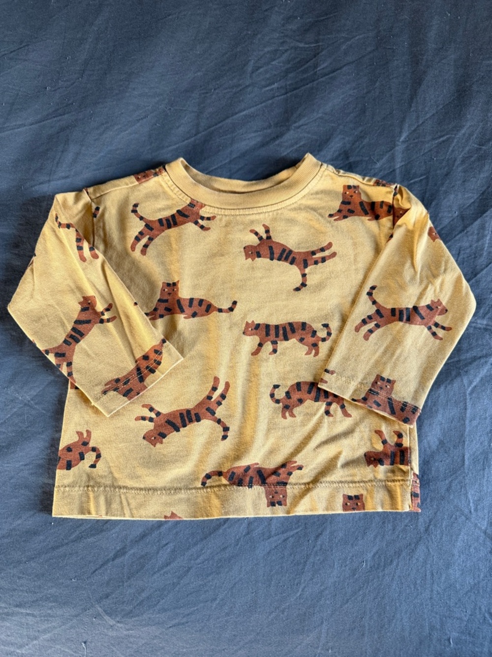 Hanna Andersson Tiger t-shirt